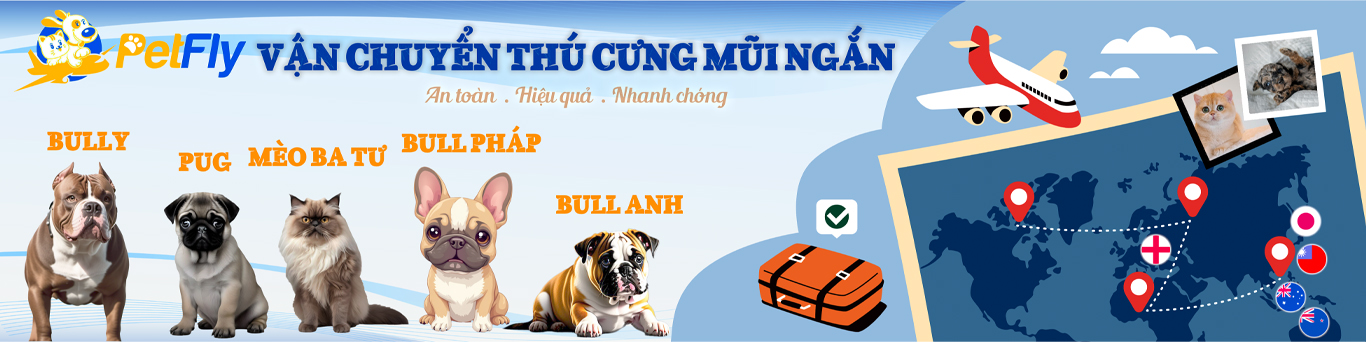 Petfly new3	